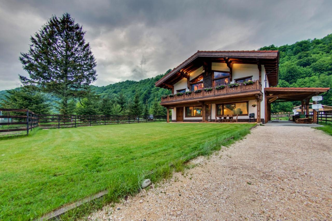 Avalanche Plaiul Foii Villa Zarnesti Exterior photo
